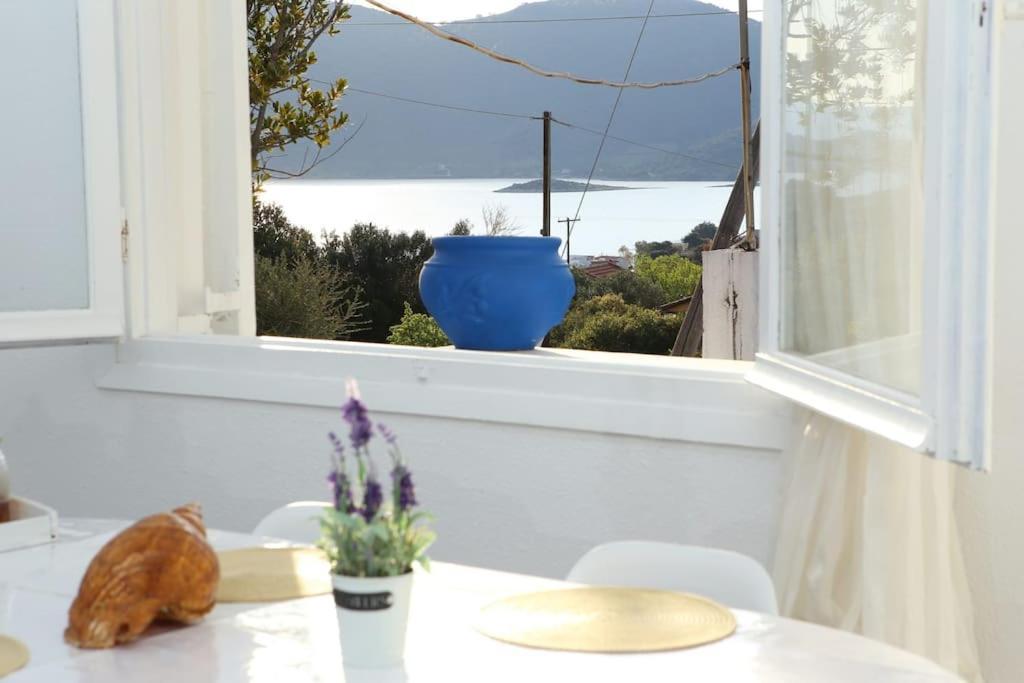 White Villa In Olive Trees And Seaview To Panagia Almiropótamos Exteriör bild