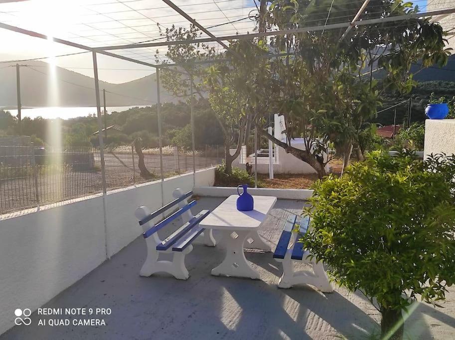 White Villa In Olive Trees And Seaview To Panagia Almiropótamos Exteriör bild