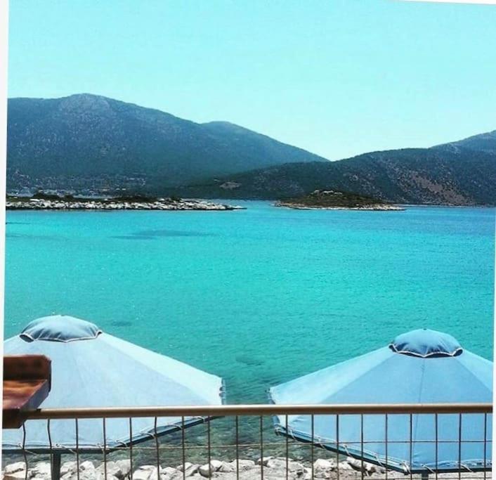 White Villa In Olive Trees And Seaview To Panagia Almiropótamos Exteriör bild
