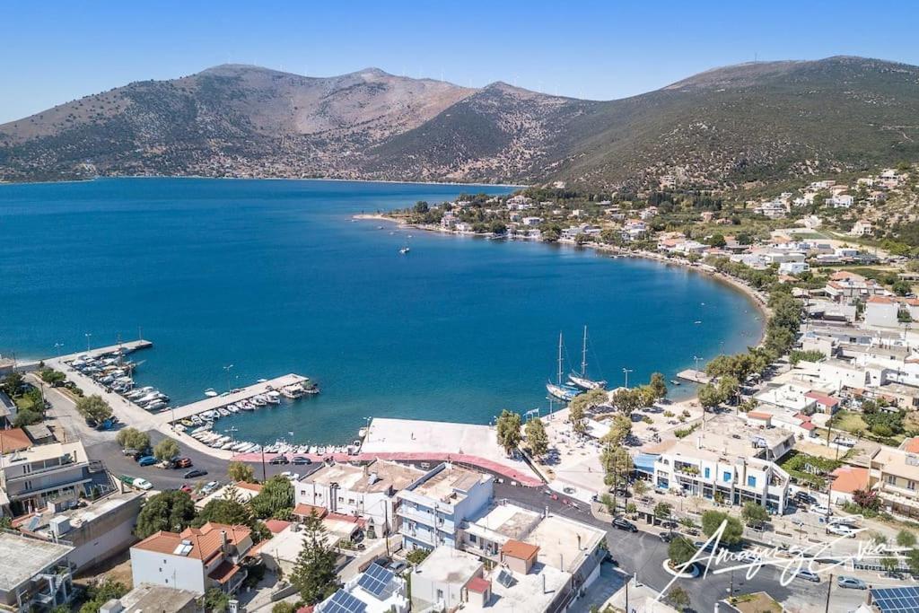 White Villa In Olive Trees And Seaview To Panagia Almiropótamos Exteriör bild